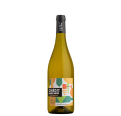 L'inédit Muscat Sauvignon- Blanc moelleux - Mas Neuf - IGP Pays  Pays d'oc